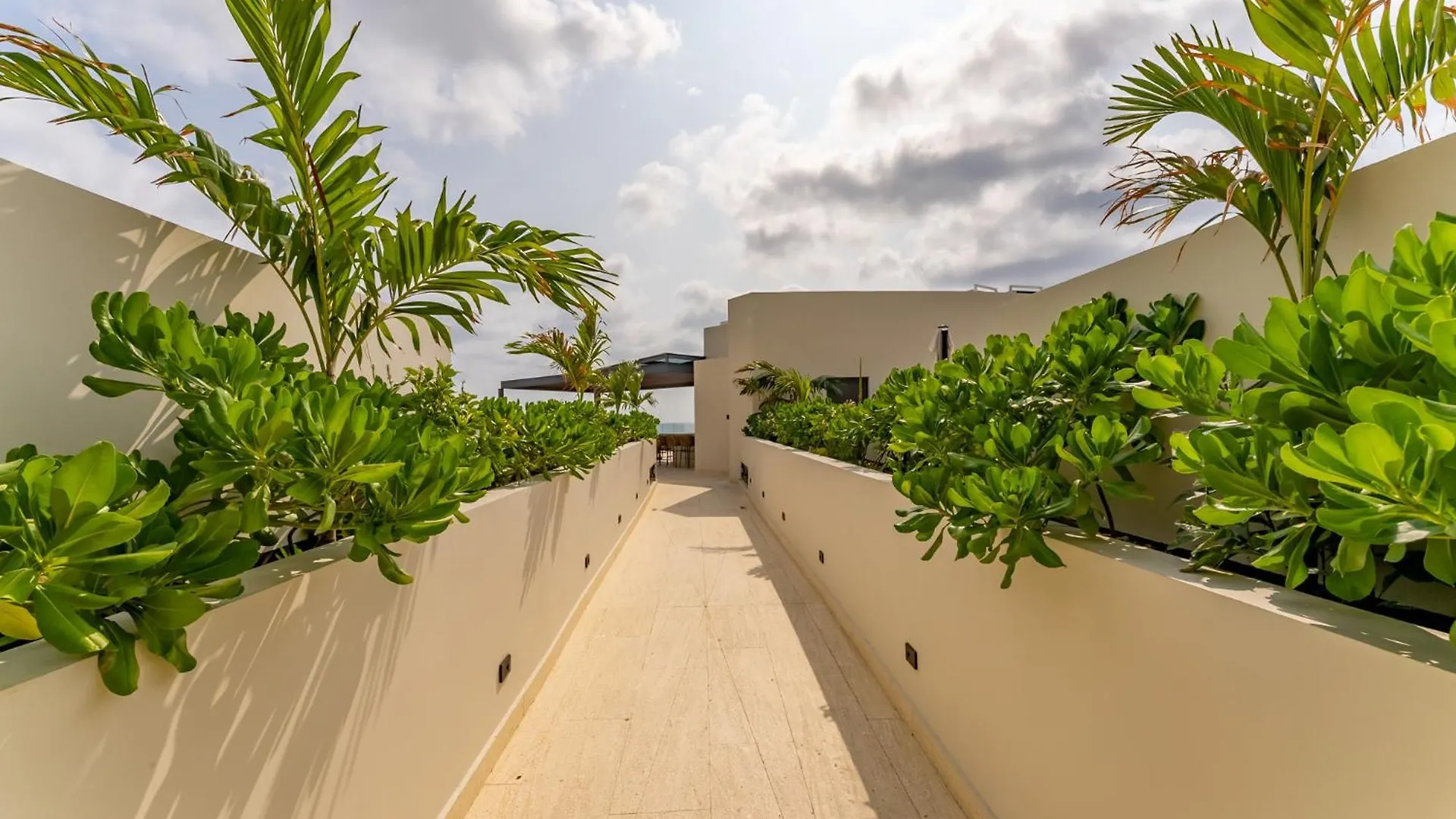 דירה פלאייה דל כרמן Marila Lux Condo1Br